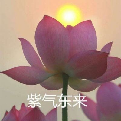 盖伊传说手游官方下载